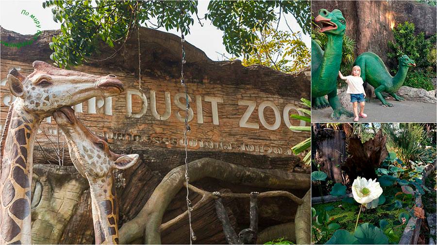 Зоопарк Дусит в Бангкоке. Развлечения для семейного отдыха. Дети и путешествия. В Таиланд с детьми. Топ лучших развлечений в Бангкоке для детей.