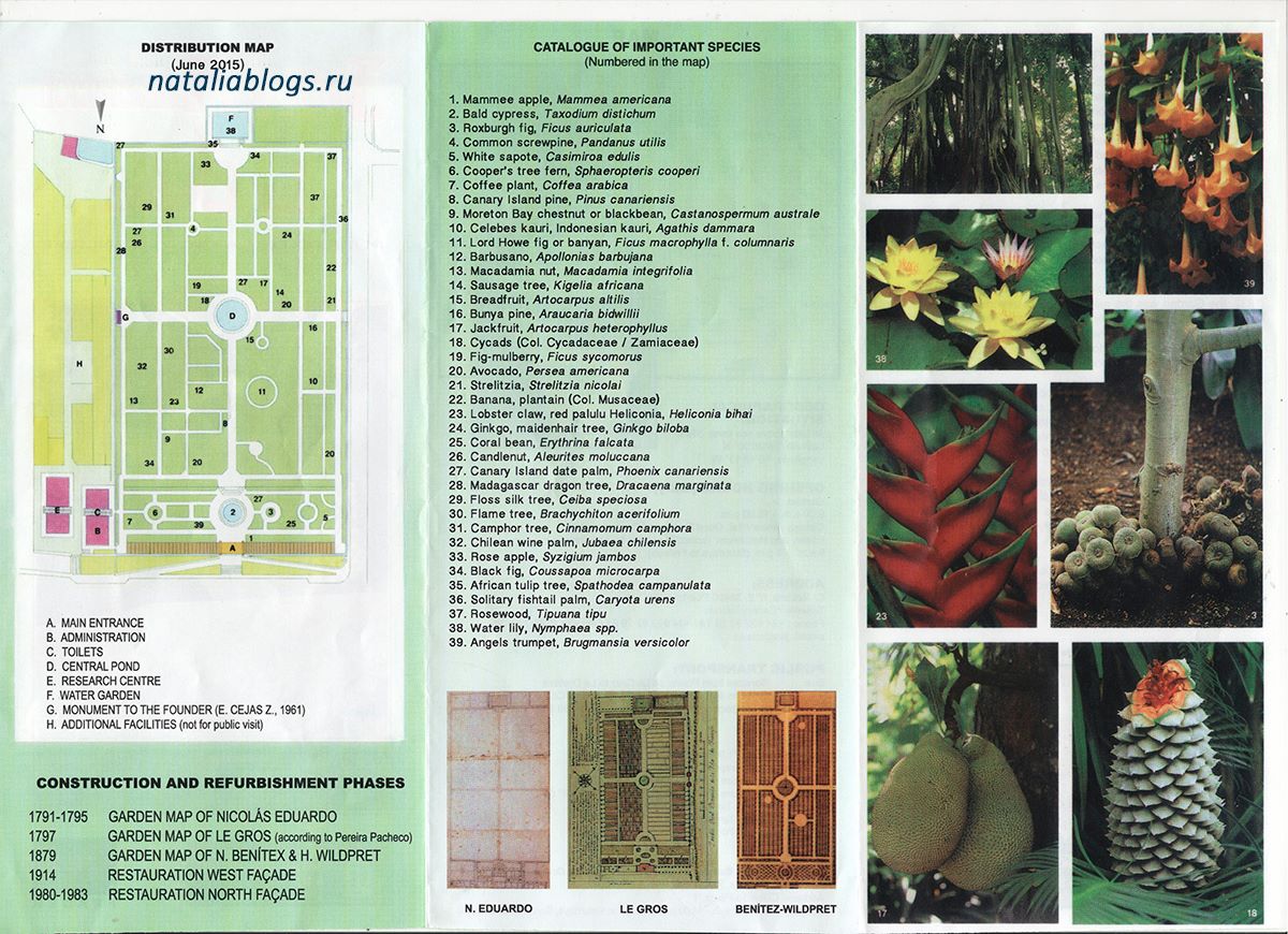остров Тенерифе достопримечательности на карте, ботанический сад Тенерифе, достопримечательности Тенерифе на карте на русском