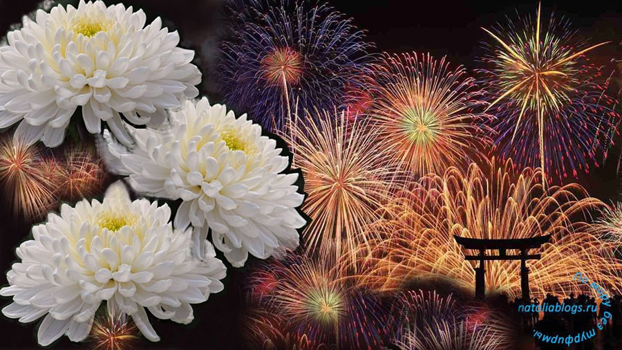 Летом в Японии проходят крупные фестивали фейерверков. Токио праздник 2019